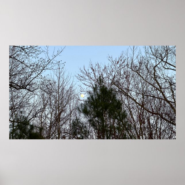 Póster Luna de Noche Temprana (Frente)