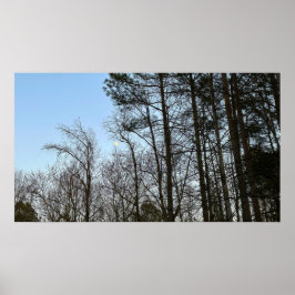 Póster Luna de Noche Temprana