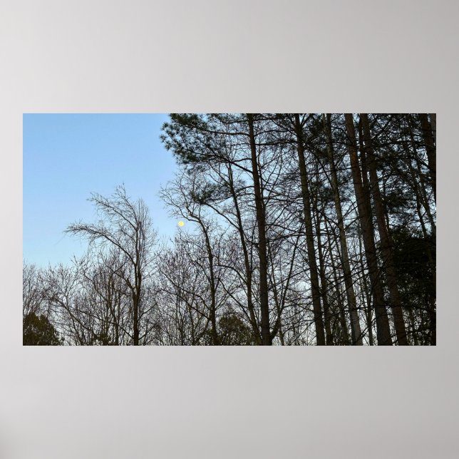 Póster Luna de Noche Temprana (Frente)