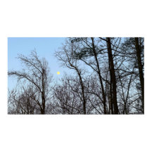 Luna de Noche Temprana