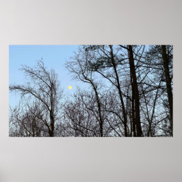 Póster Luna de Noche Temprana