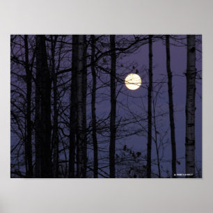 Póster Luna de Northwoods.