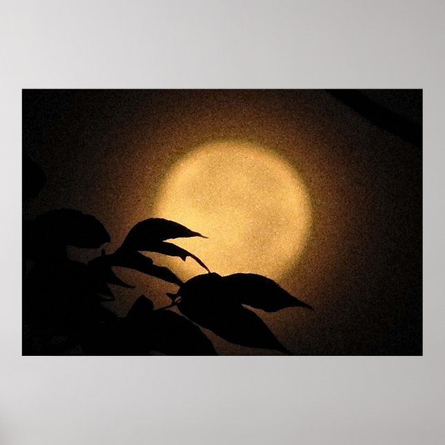 Póster Luna de Otoño (Frente)
