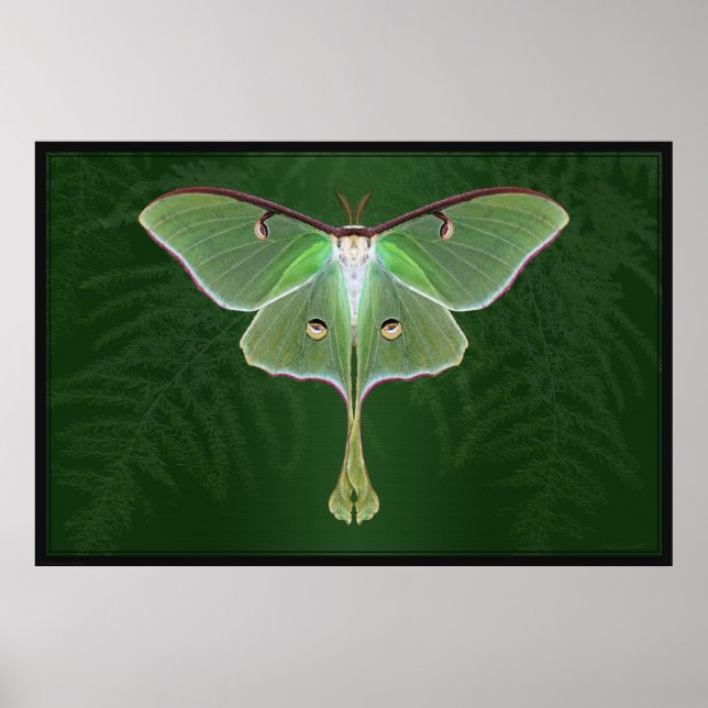 Póster Luna Emerald Art Poster -60x40 -otros tamaños tamb (Frente)