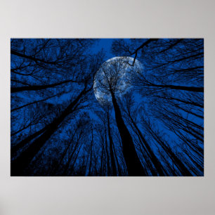 Póster Luna en el cielo nocturno
