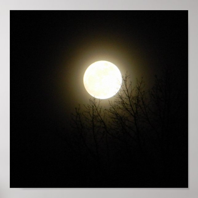 Póster Luna llena (Frente)