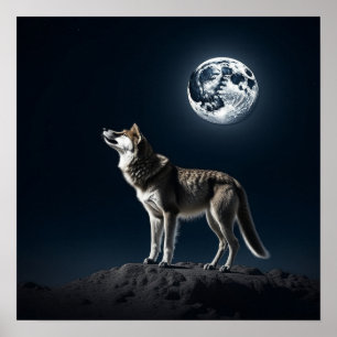 Póster Luna llena brillando en el lobo
