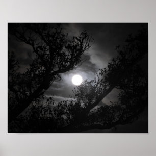 Póster Luna llena por las ramas