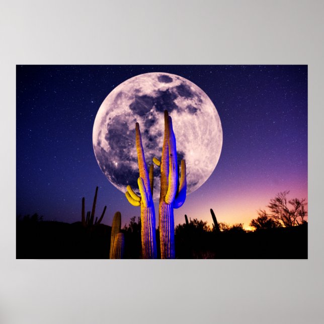 Póster Luna Llena Sobre Cactus Saguaro (Frente)