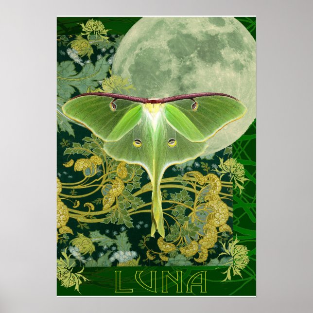 Póster Luna Moth and Moon Poster, Green Nature Collage (Frente)