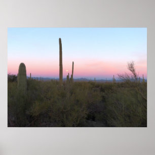Póster Luna rosa sobre Saguaro al amanecer