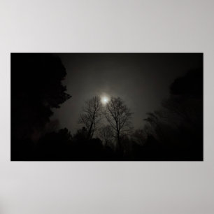 Póster Luna sobre árboles, cartel