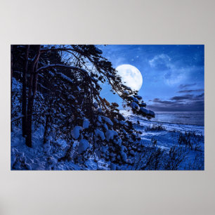 Póster Luna sobre un árbol de abetos nevado y costa marin
