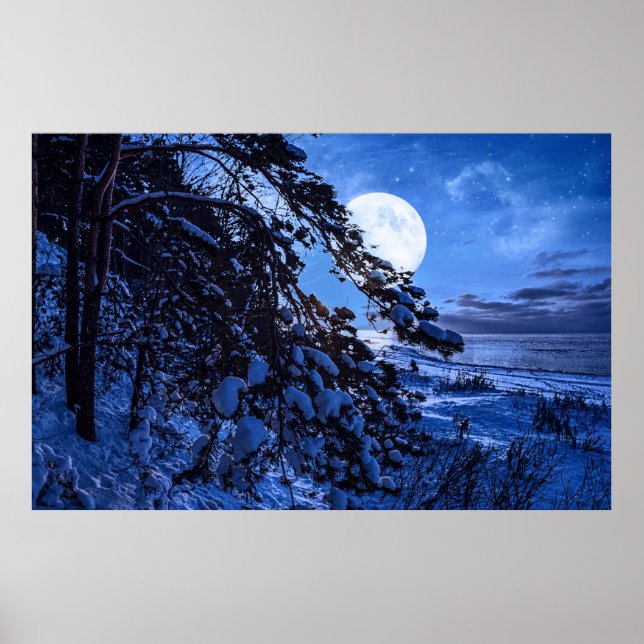 Póster Luna sobre un árbol de abetos nevado y costa marin (Frente)