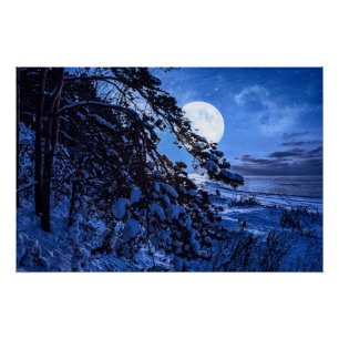 Póster Luna sobre un árbol de abetos nevado y costa marin