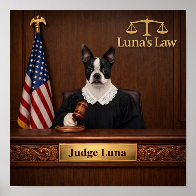 Póster "Luna's Law" (Frente)