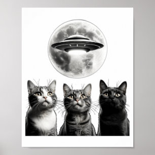 Póster Lunáticos 3 Gatos Asustados Ufo Alien Invasión De 