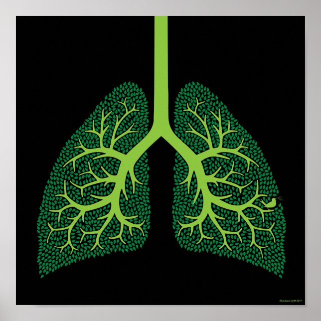 Póster Lung Tree (Frente)