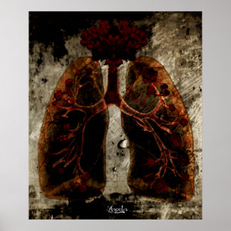 Póster Lung'N'Rosas