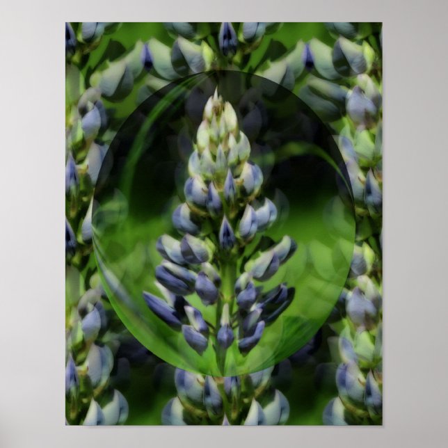 Póster Lupine Abstract Floral Art (Frente)