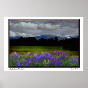 Póster Lupine Mindscape de Lafayette