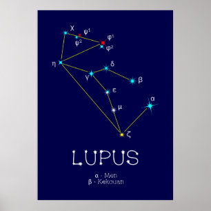 Póster Lupus de constelación del hemisferio sur