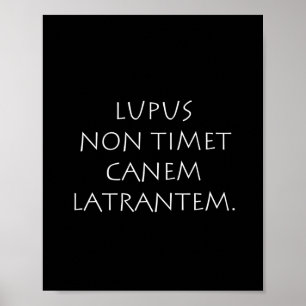 Póster Lupus latrantem no timet
