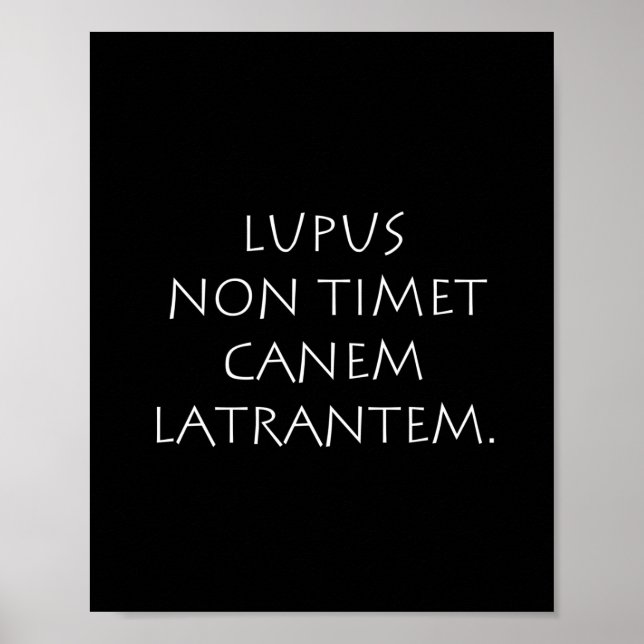 Póster Lupus latrantem no timet (Frente)