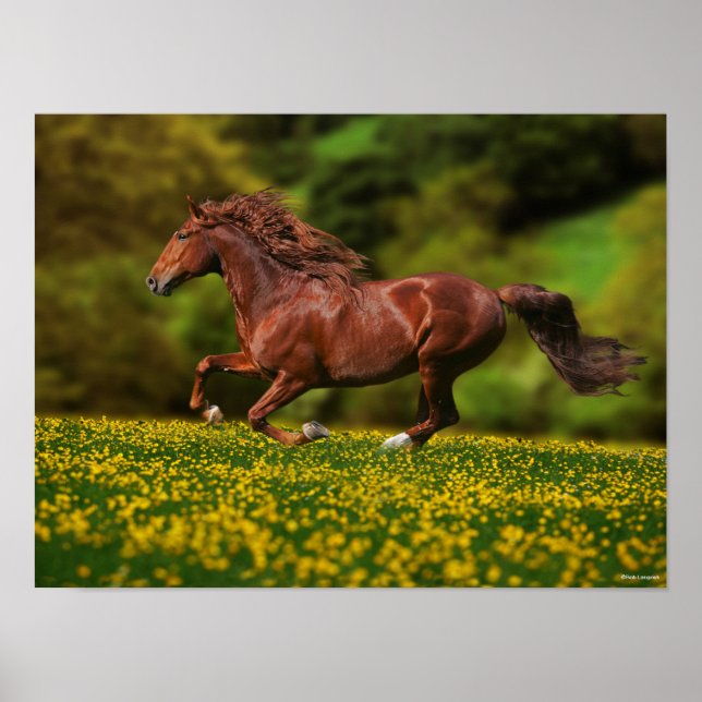 Póster Lusitano De Castaña Corriendo En Mariposa (Frente)