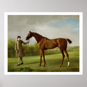 Póster Luster, retenido por un Groom, c.1760-62 (aceite s