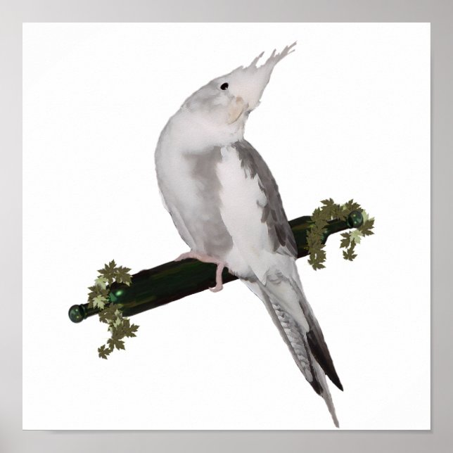 Póster Lutino Cockatiel Bird Ivy Perch Animal (Frente)