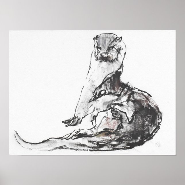 Póster Lutra lutra (Frente)