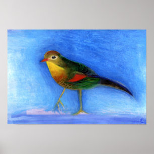 Póster Luz 2012 del usignuolo