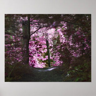 Póster Luz Al Final Del Sendero Naturaleza