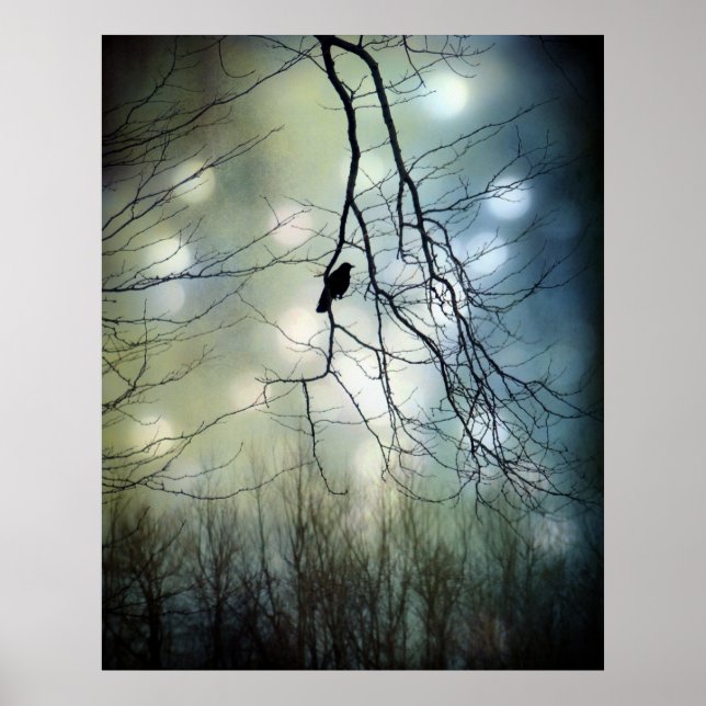 Póster Luz azul (Frente)