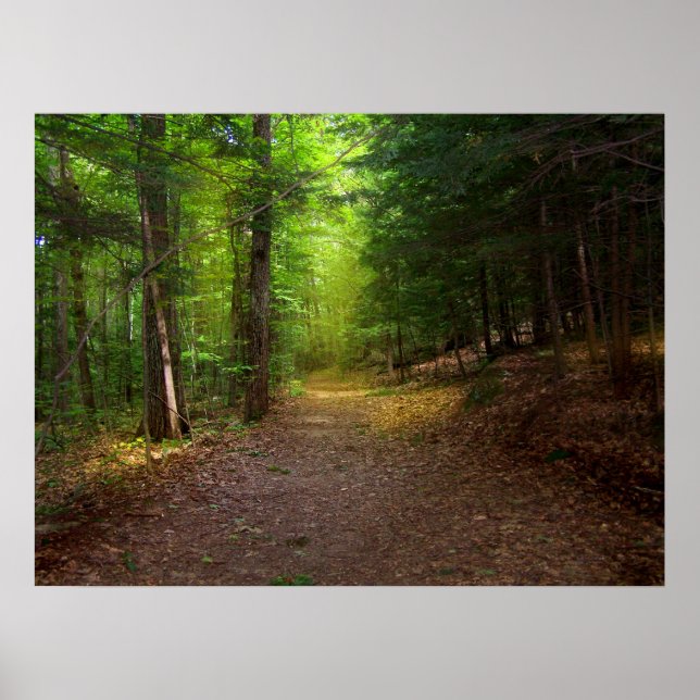 Póster Luz de bosque (Frente)