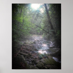 Póster Luz de bosque de ensueño