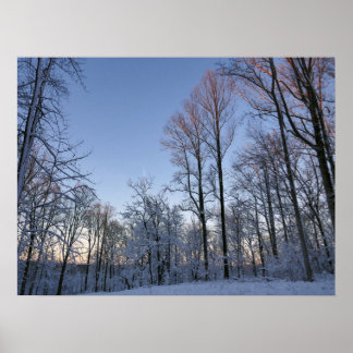 Póster Luz de invierno matutina I