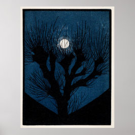 Póster Luz de la luna