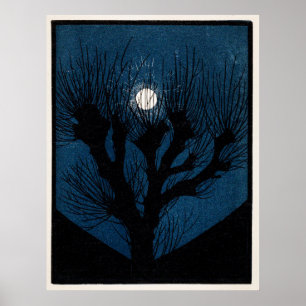 Póster Luz de la luna