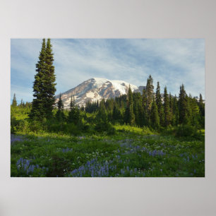 Póster Luz de la Mañana en el Monte Rainier