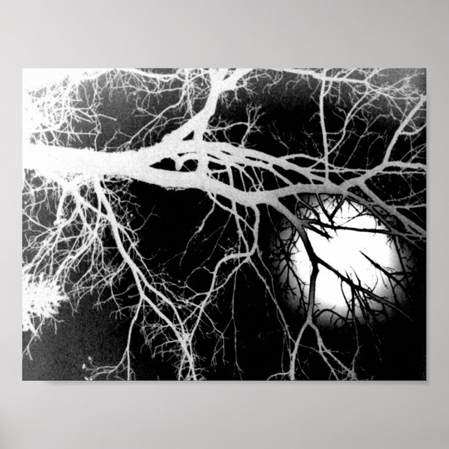 Póster Luz de luna (Frente)