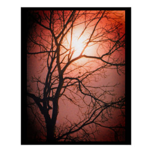 Póster Luz de luna