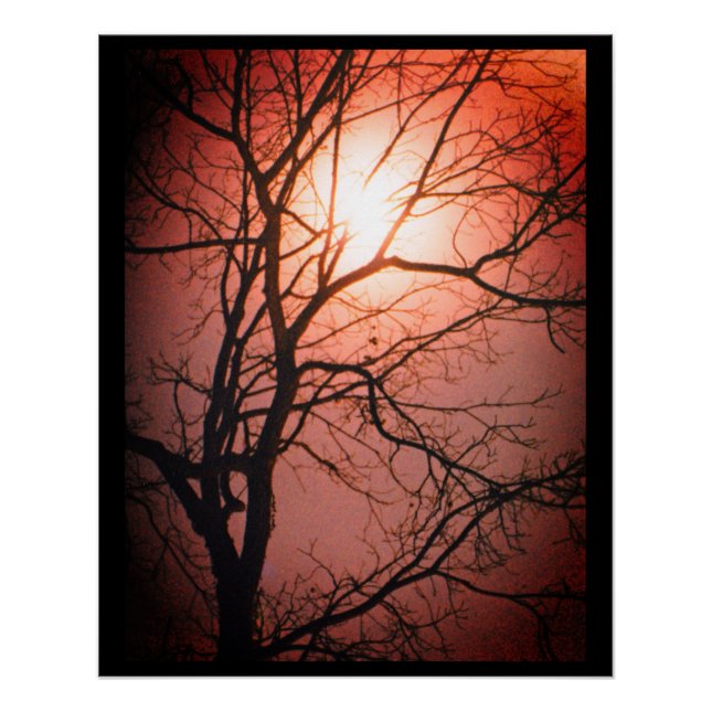 Póster Luz de luna (Anverso)