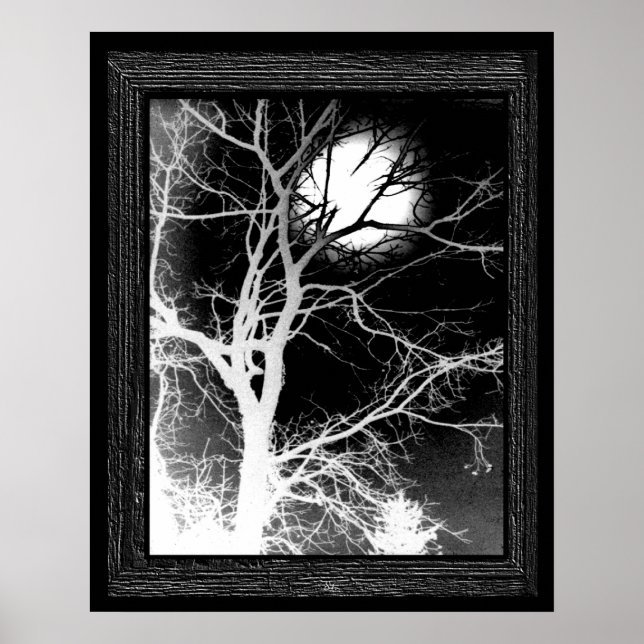 Póster Luz de luna (Frente)