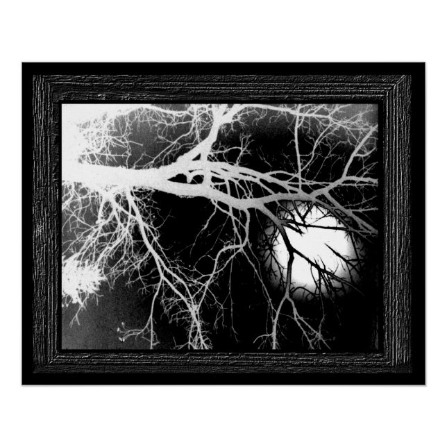 Póster Luz de luna (Anverso)