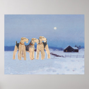 Póster Luz de luna de invierno