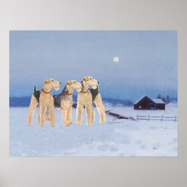 Póster Luz de luna de invierno (Frente)