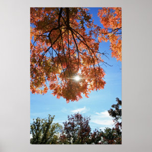 Póster "Luz de otoño"