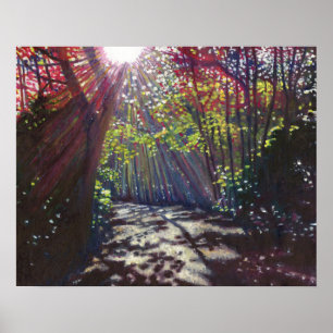 Póster Luz dispersa 2013